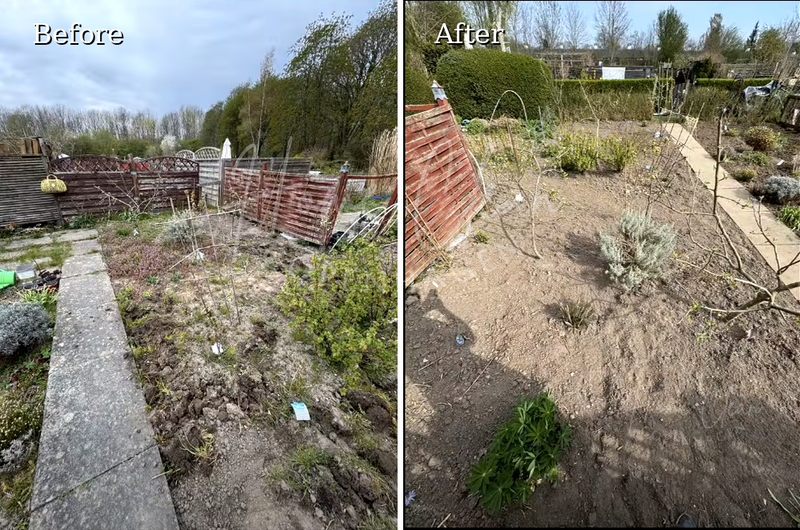 Before and after garden cleanup service in Copenhagen, showing an overgrown outdoor area before and a cleaner, tidier garden space after the service.