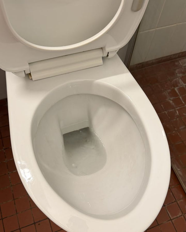 Toilet – limescale and stains – after
