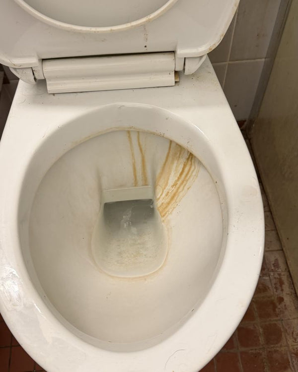Toilet – limescale and stains – before
