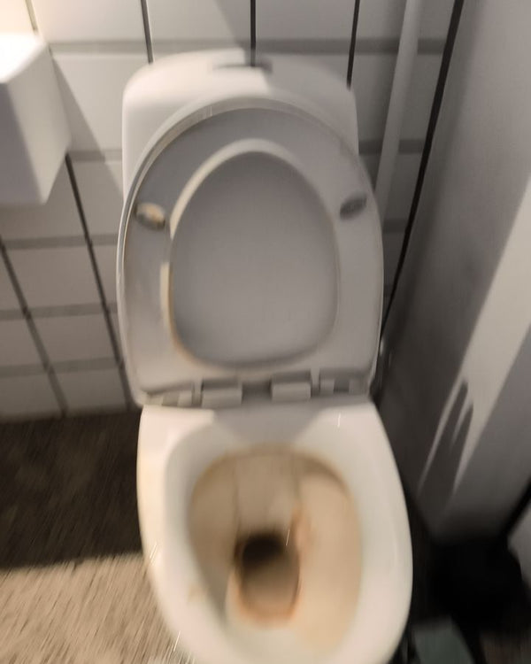 Toilet – before